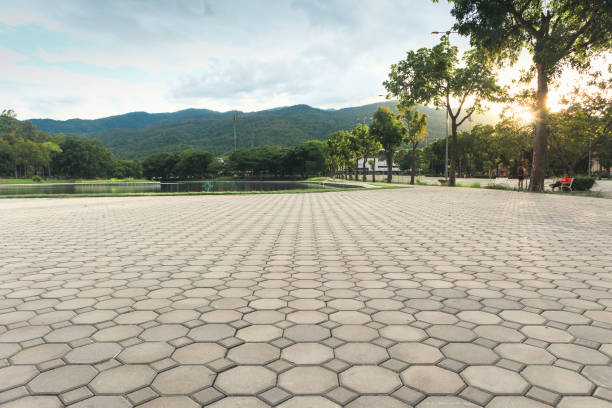 Best Decorative Driveway Pavers  in Great Falls Crossing, VA
